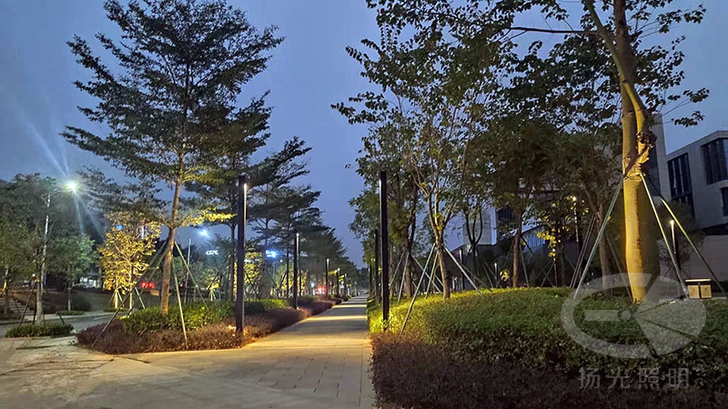 東莞中集智谷產(chǎn)業(yè)園景觀(guān)照明工程夜景圖